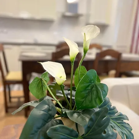 Loft With Private Parking * Trieszt