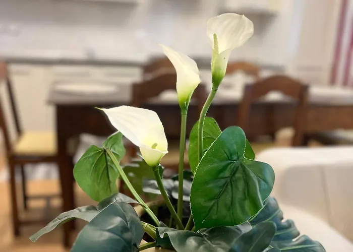 Loft With Private Parking * Trieste